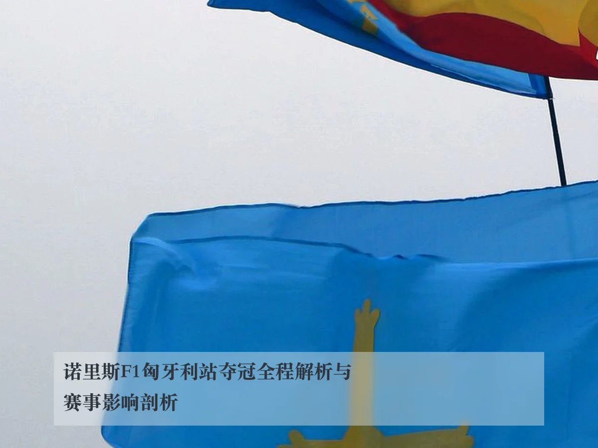 诺里斯F1匈牙利站夺冠全程解析与赛事影响剖析