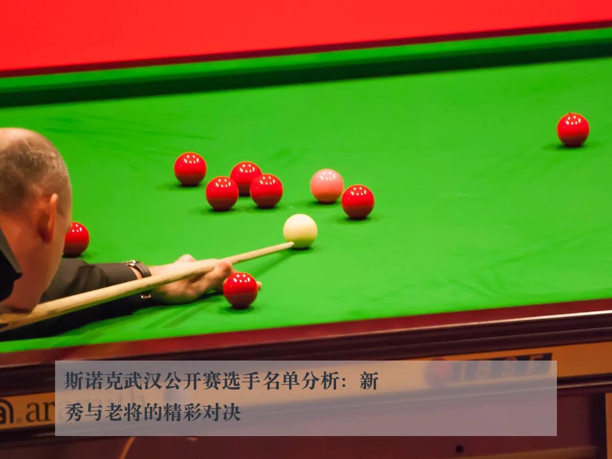 斯诺克武汉公开赛选手名单分析:新秀与老将的精彩对决