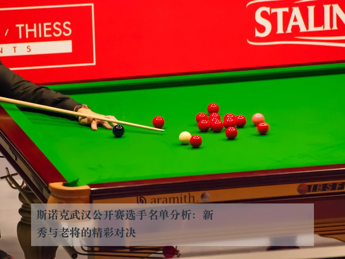 斯诺克武汉公开赛选手名单分析:新秀与老将的精彩对决
